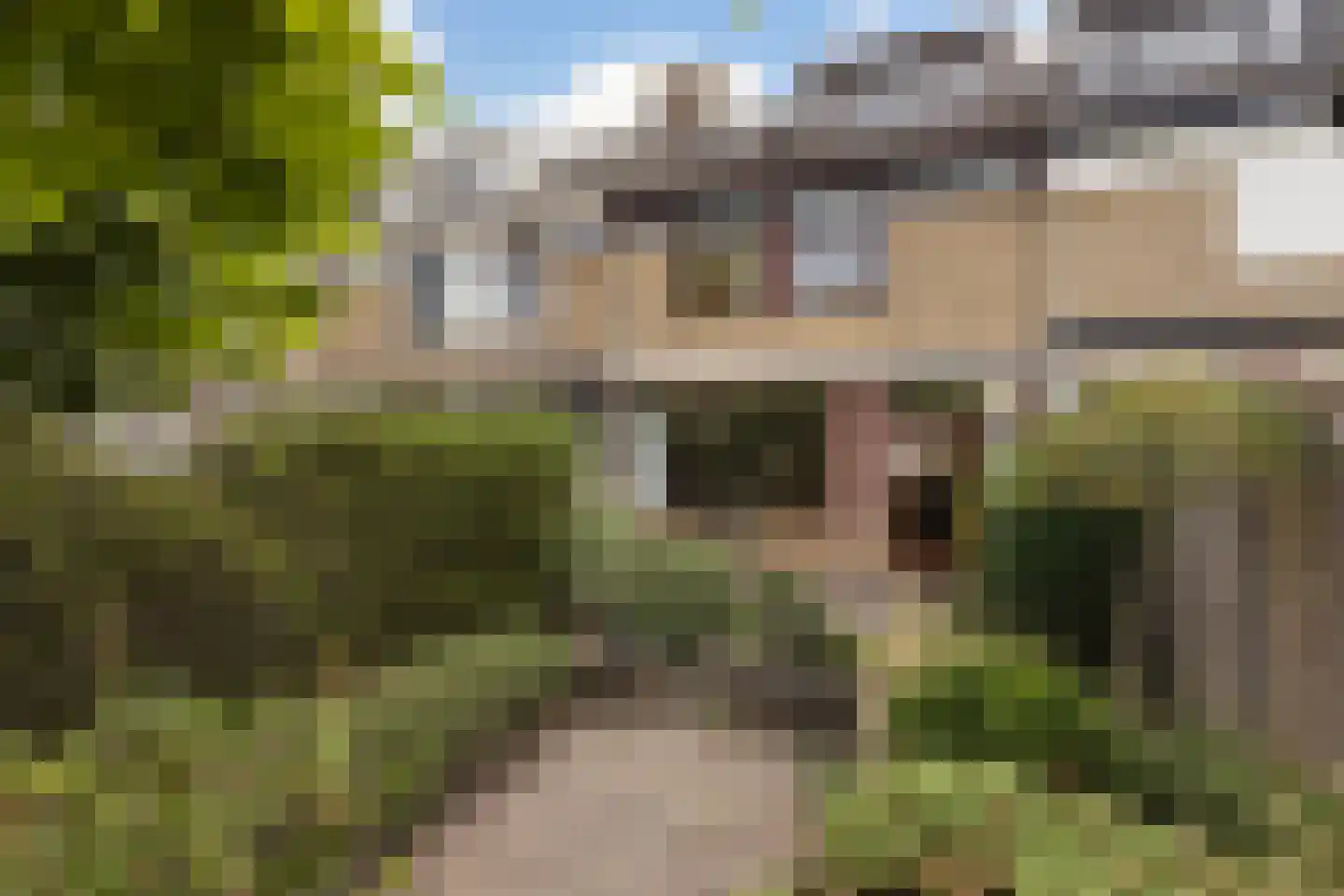 Bachstraat 5 Numansdorp thumbnail 35