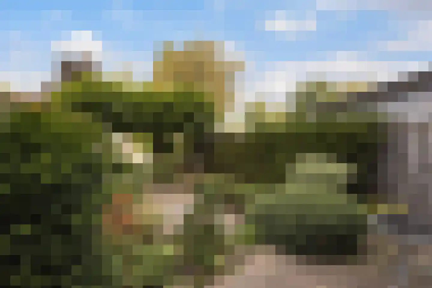 Bachstraat 5 Numansdorp thumbnail 36