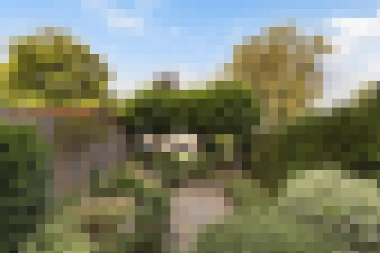 Bachstraat 5 Numansdorp thumbnail 40