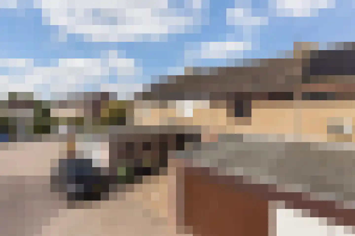 Bachstraat 5 Numansdorp thumbnail 41