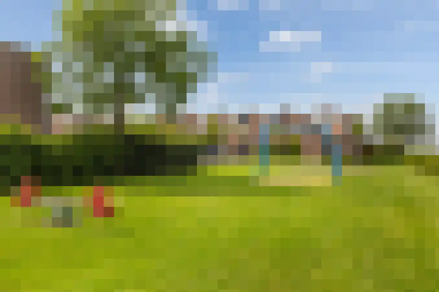 Bachstraat 5 Numansdorp thumbnail 44