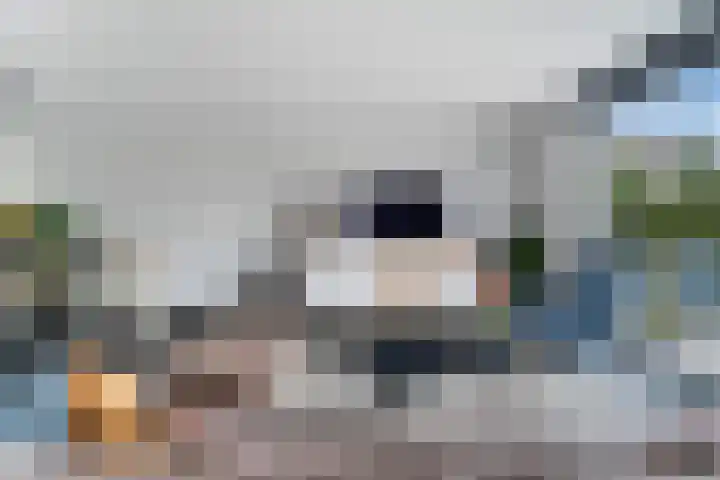 Bachstraat 52 Capelle aan den IJssel thumbnail 11