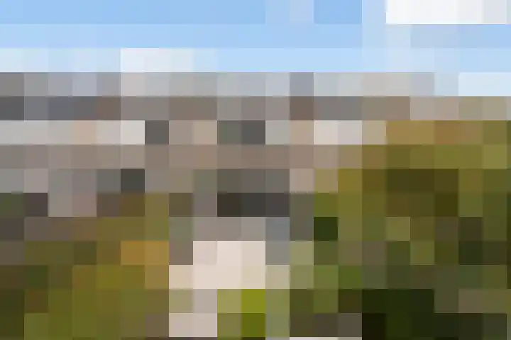 Bachstraat 52 Capelle aan den IJssel thumbnail 15