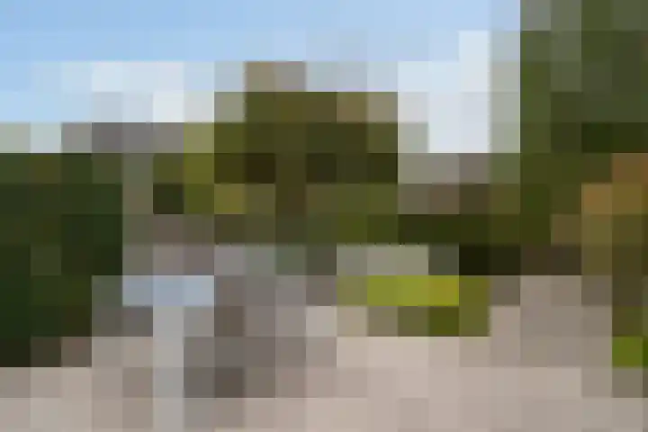 Bachstraat 52 Capelle aan den IJssel thumbnail 17