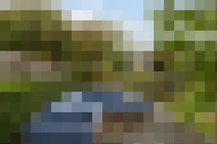 Bachstraat 52 Capelle aan den IJssel thumbnail 18