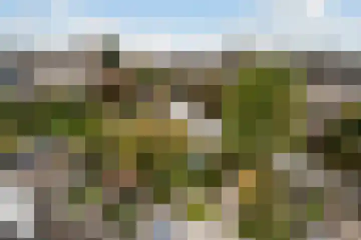 Bachstraat 52 Capelle aan den IJssel thumbnail 19