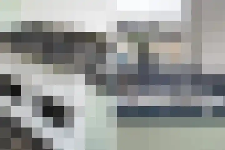 Bachstraat 52 Capelle aan den IJssel thumbnail 25