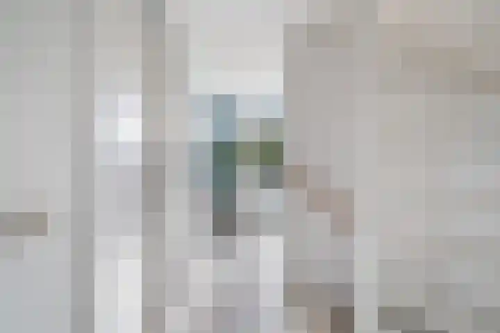 Bachstraat 52 Capelle aan den IJssel thumbnail 26