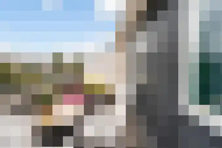 Bachstraat 52 Capelle aan den IJssel thumbnail 31