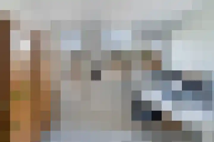 Bachstraat 52 Capelle aan den IJssel thumbnail 36