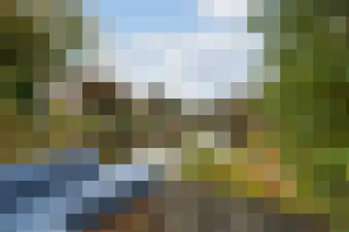 Bachstraat 52 Capelle aan den IJssel thumbnail 4
