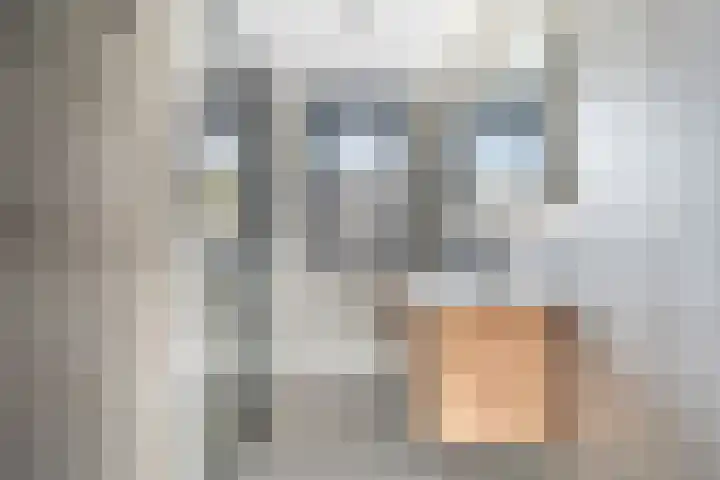 Bachstraat 52 Capelle aan den IJssel thumbnail 41