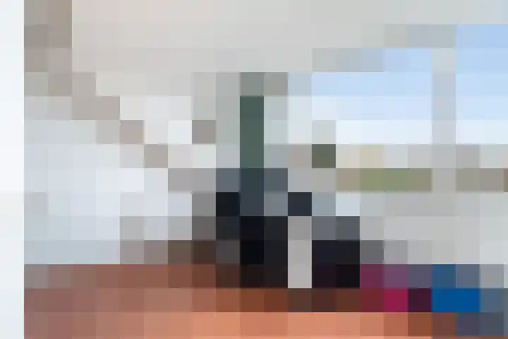 Bachstraat 52 Capelle aan den IJssel thumbnail 45