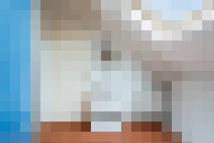 Bachstraat 52 Capelle aan den IJssel thumbnail 48
