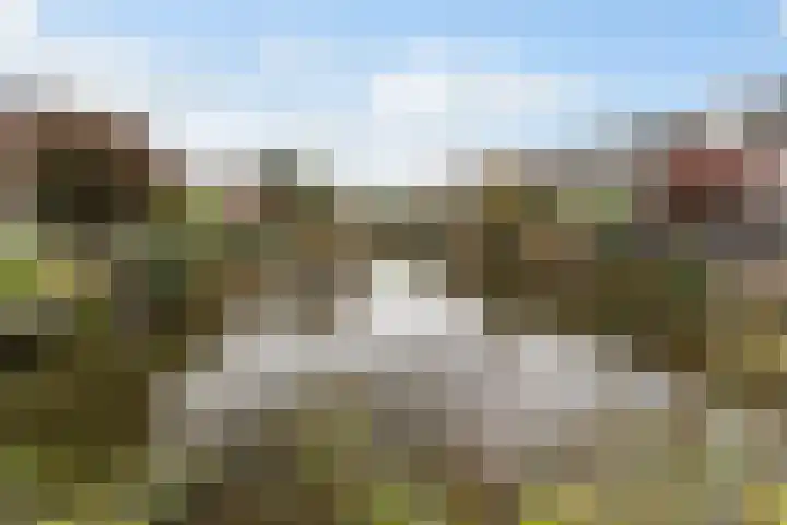 Bachstraat 52 Capelle aan den IJssel thumbnail 5