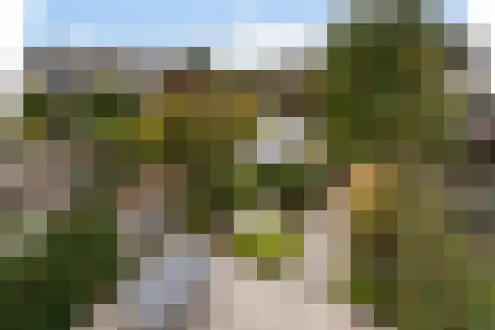 Bachstraat 52 Capelle aan den IJssel thumbnail 51