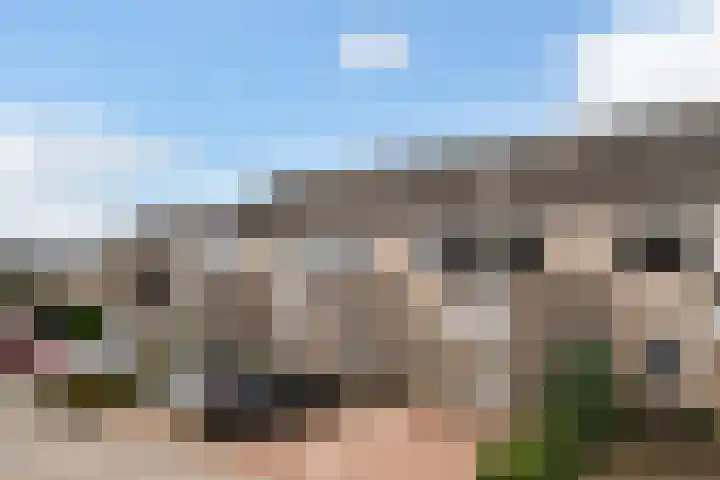 Bachstraat 52 Capelle aan den IJssel thumbnail 52