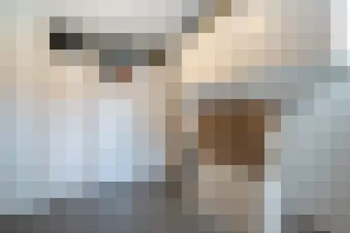 Bachstraat 52 Capelle aan den IJssel thumbnail 53