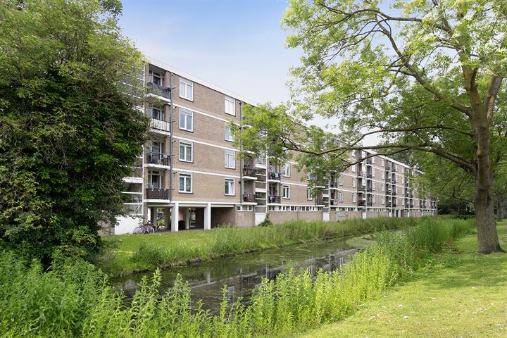 Bachstraat 536 in Leiden Foto