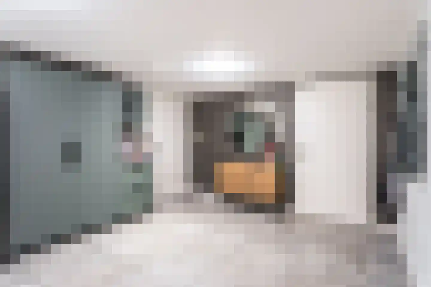 Bachstraat 55 Tubbergen thumbnail 11