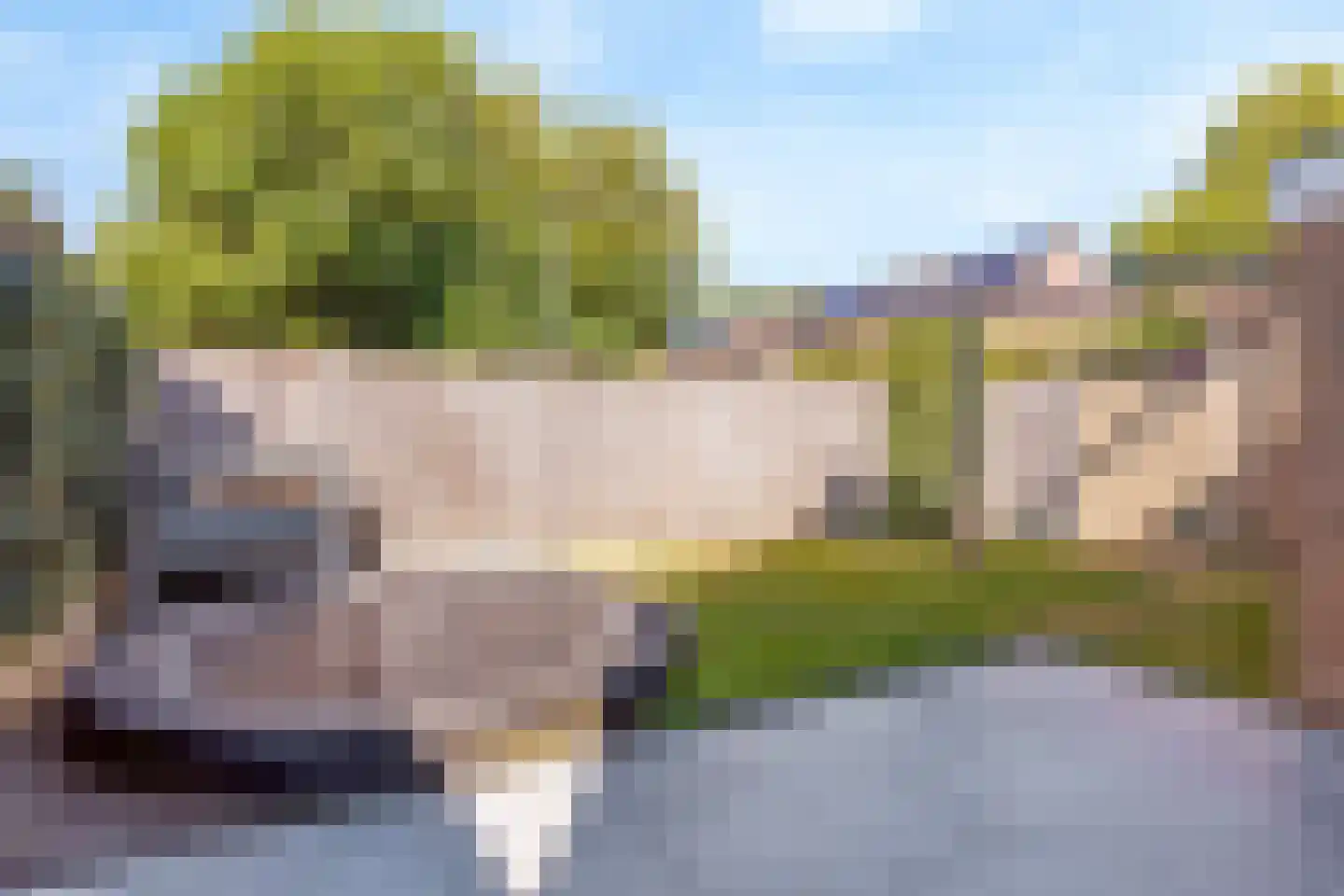 Bachstraat 55 Tubbergen thumbnail 20