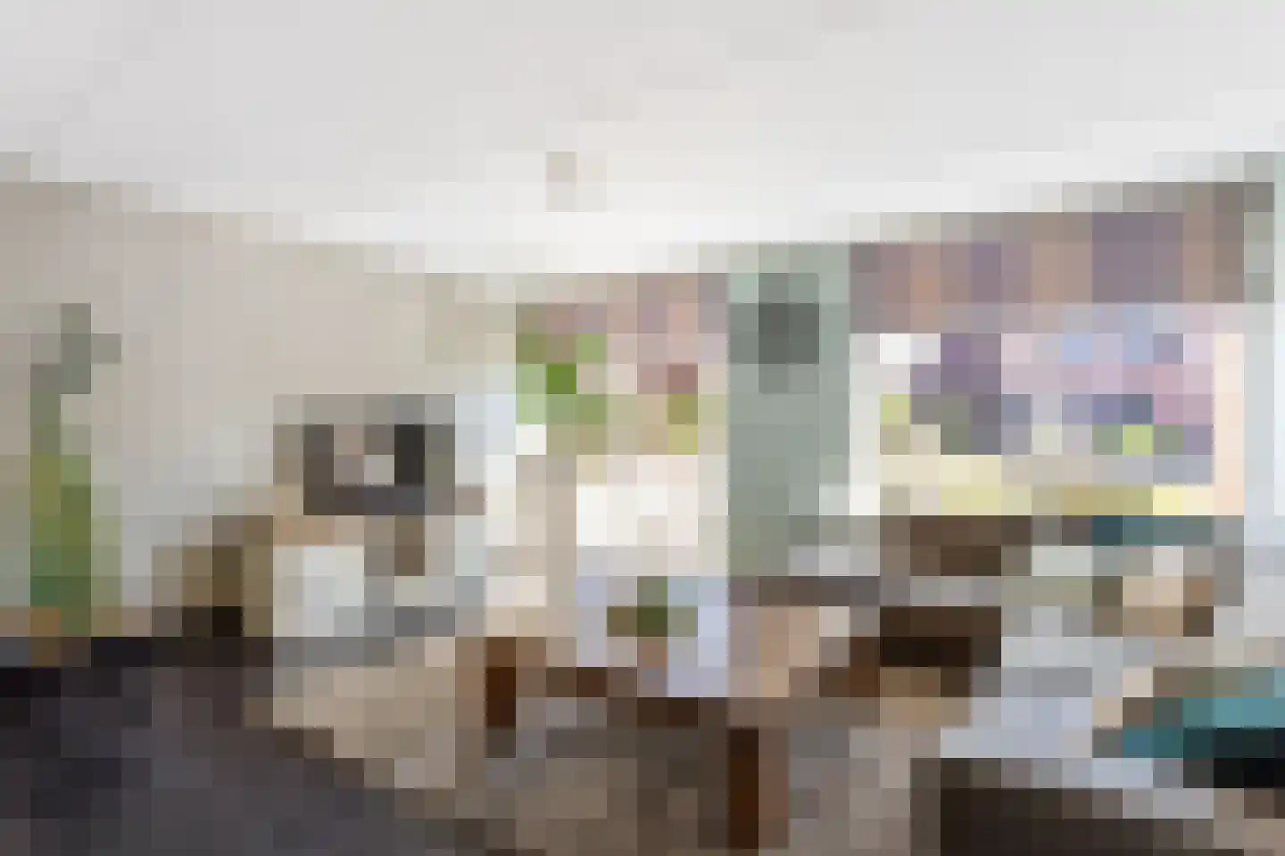 Bachstraat 55 Tubbergen thumbnail 7
