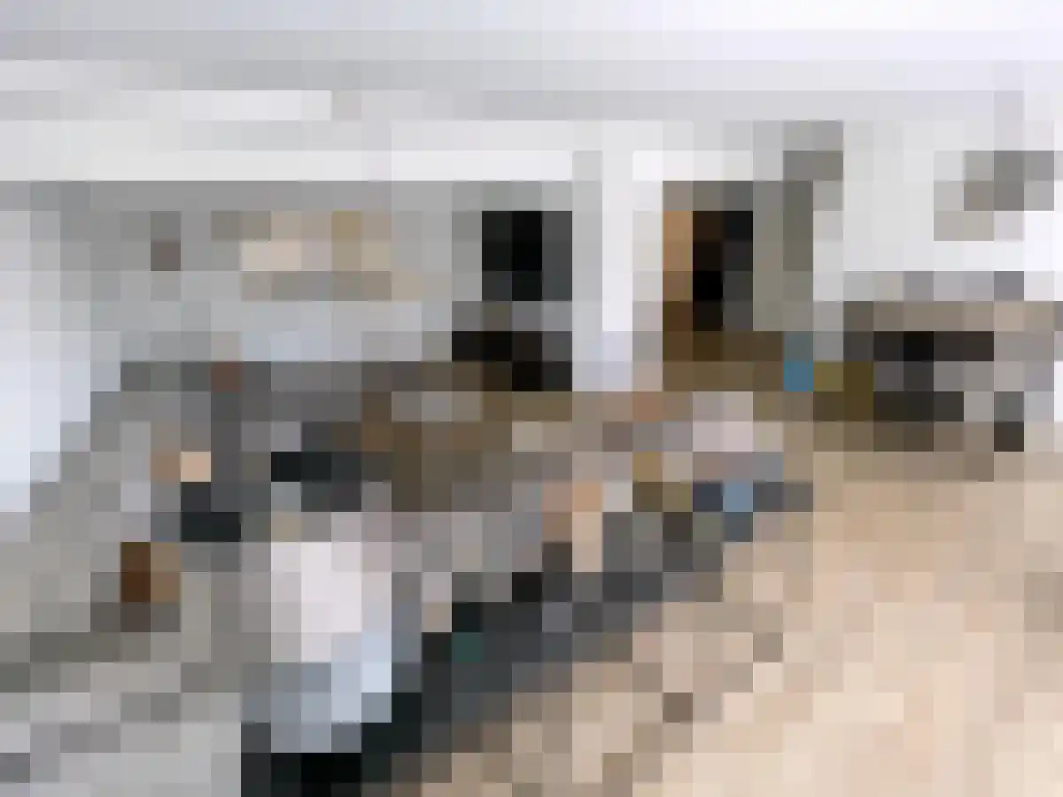 Bachstraat 566 Leiden thumbnail 4