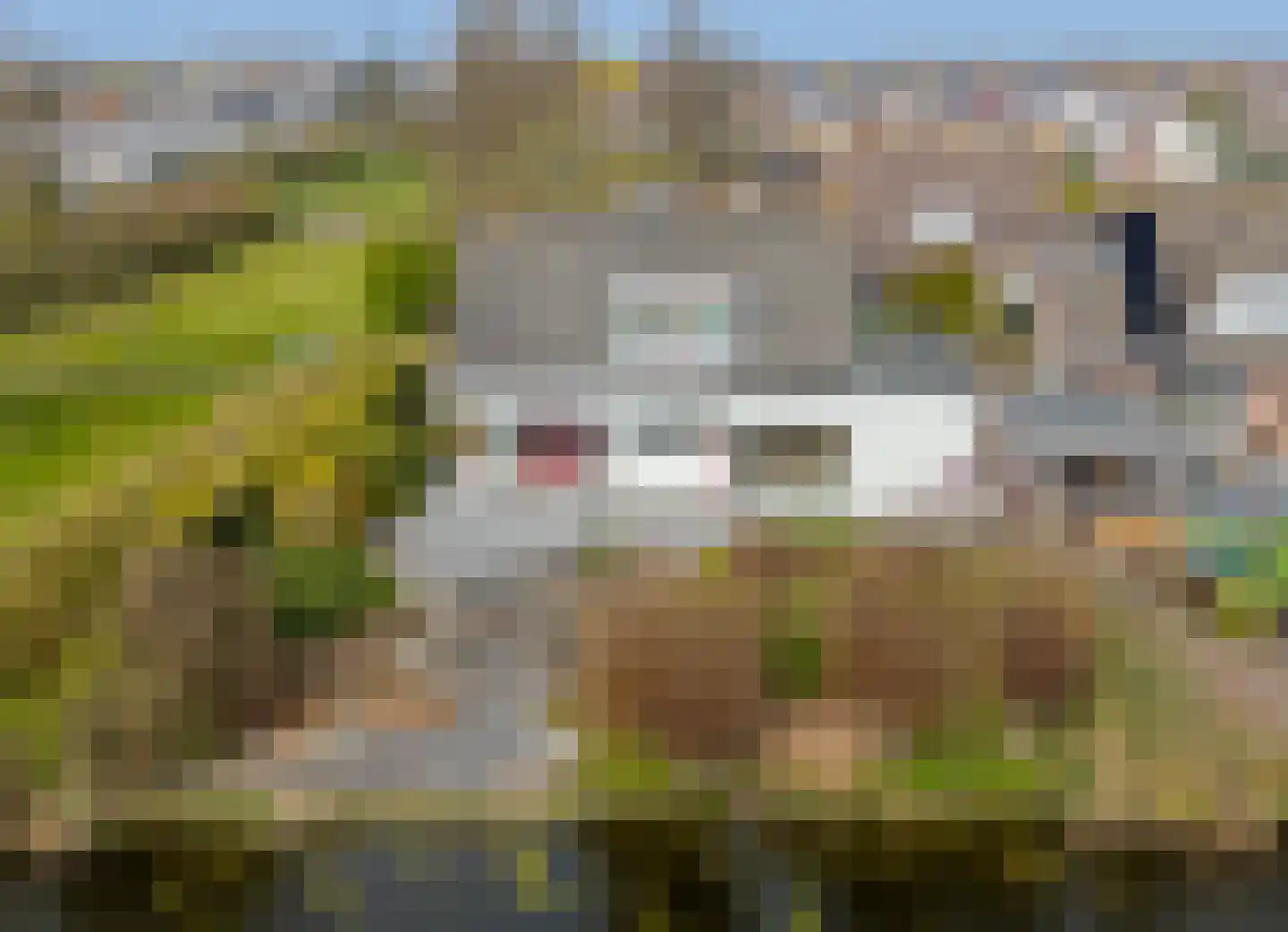 Bachstraat 6 Hellevoetsluis thumbnail 4