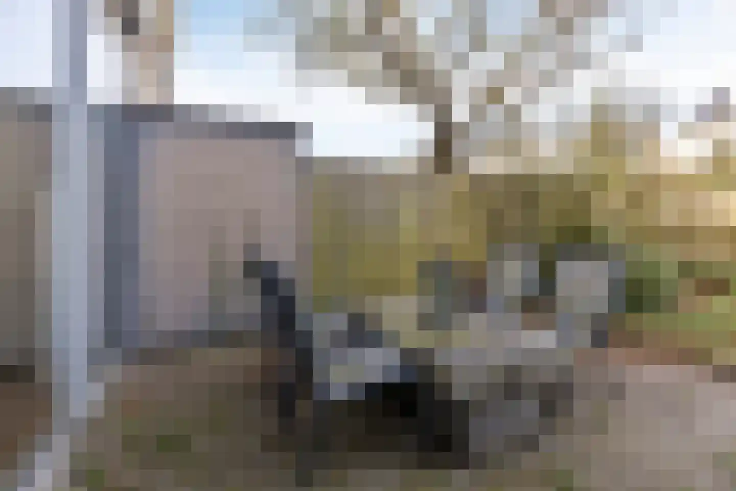 Bachstraat 6 Oosterhout thumbnail 30