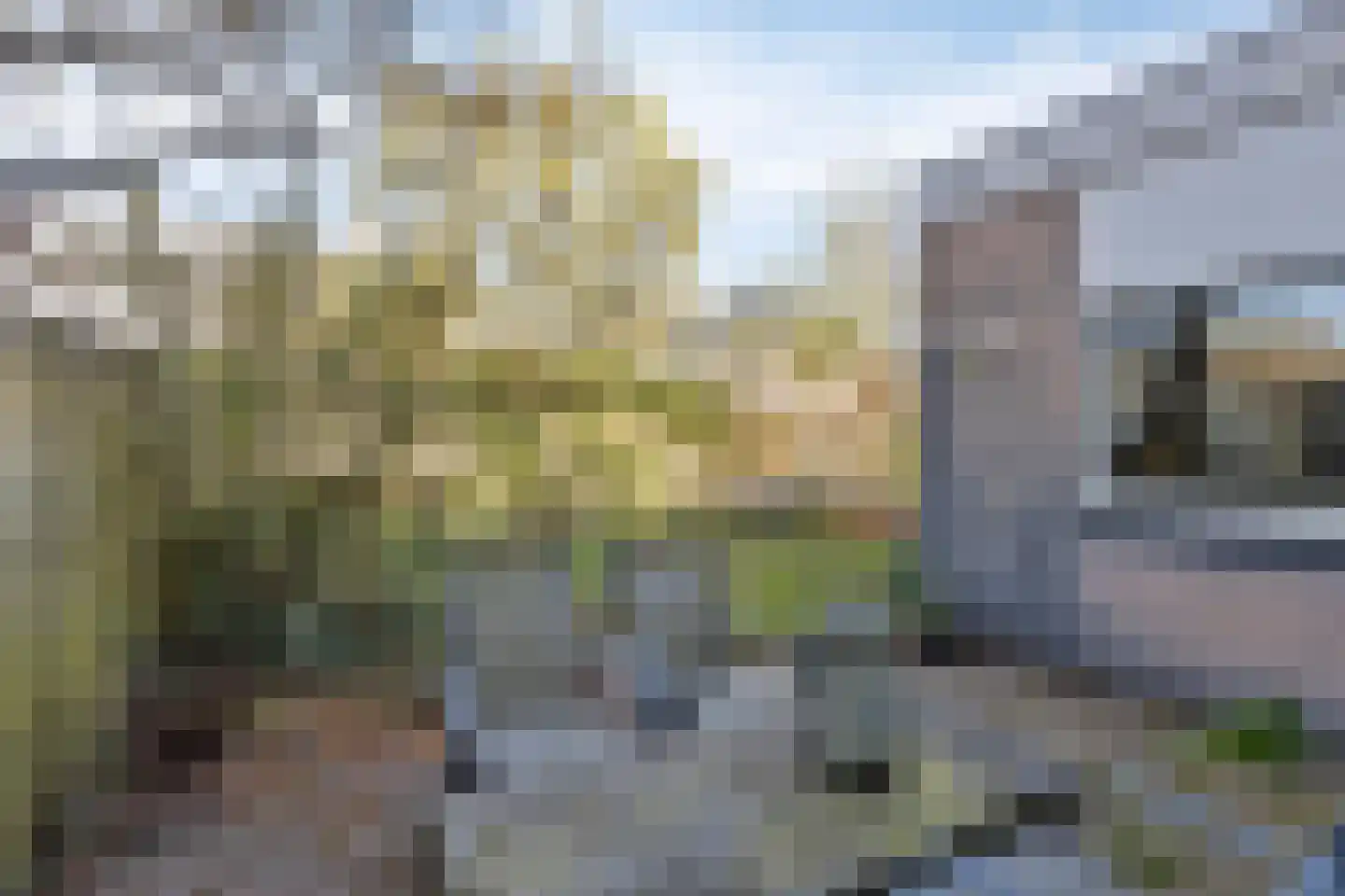 Bachstraat 6 Oosterhout thumbnail 31