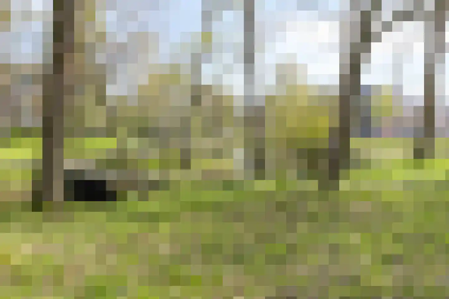 Bachstraat 6 Oosterhout thumbnail 42