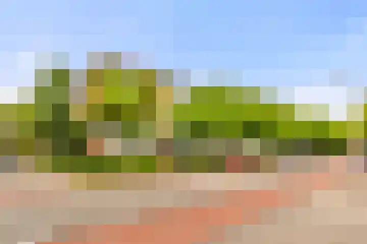 Bachstraat 62 Heemskerk thumbnail 5