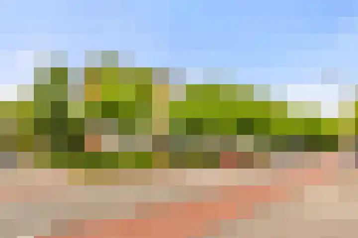 Bachstraat 62 Heemskerk thumbnail 6