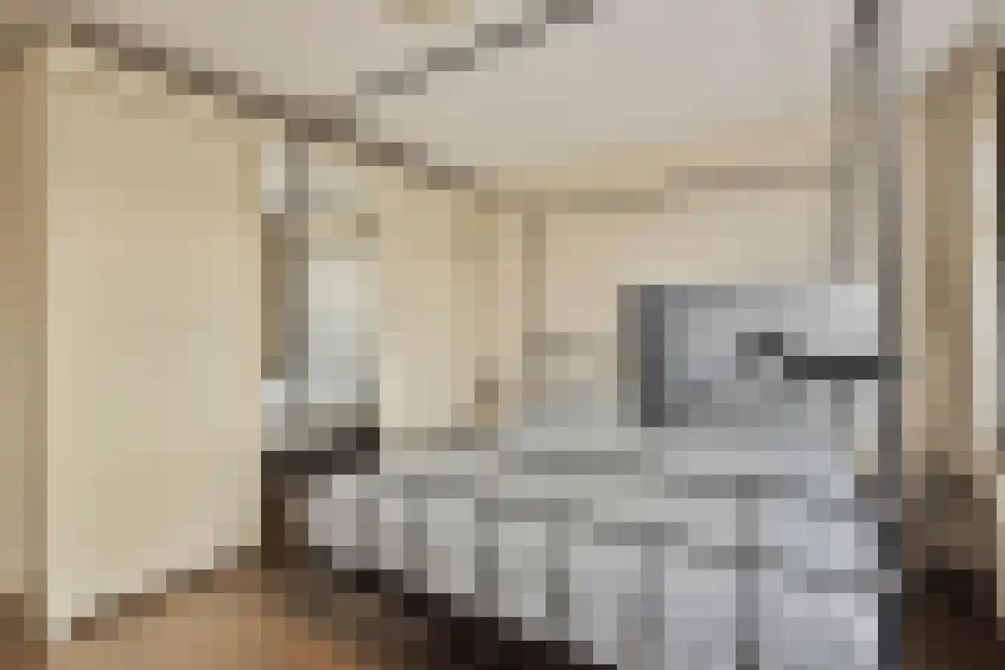 Bachstraat 7 Akersloot thumbnail 19