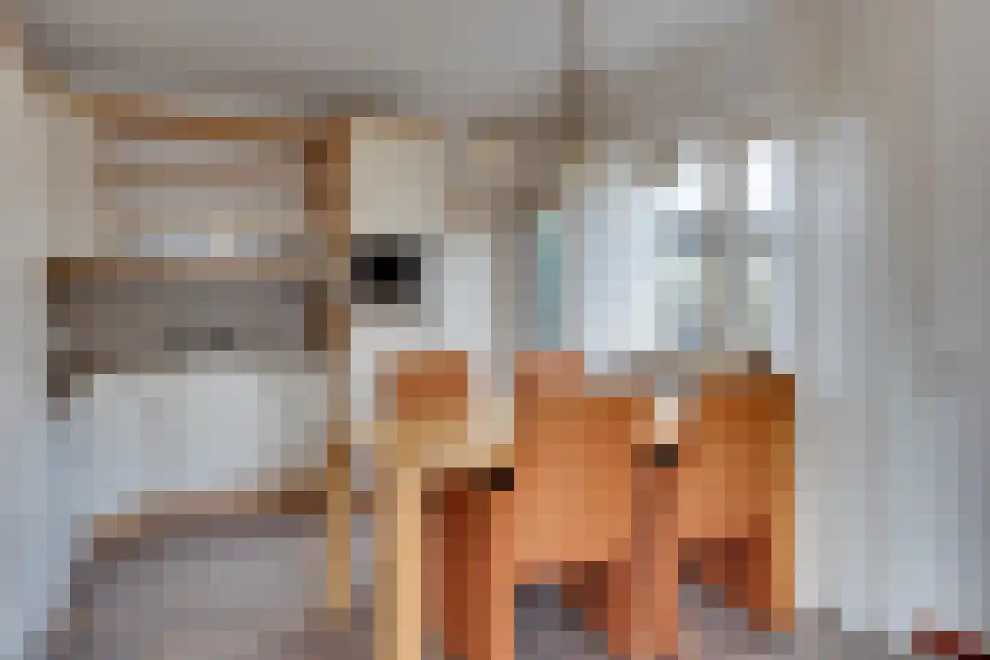 Bachstraat 7 Lichtenvoorde thumbnail 11