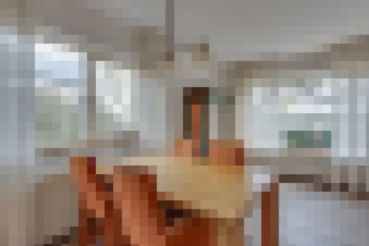 Bachstraat 7 Lichtenvoorde thumbnail 13