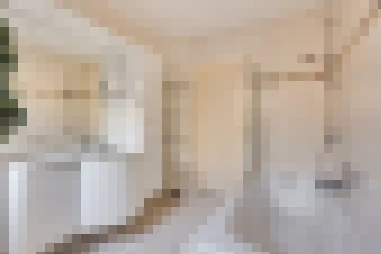 Bachstraat 7 Lichtenvoorde thumbnail 24