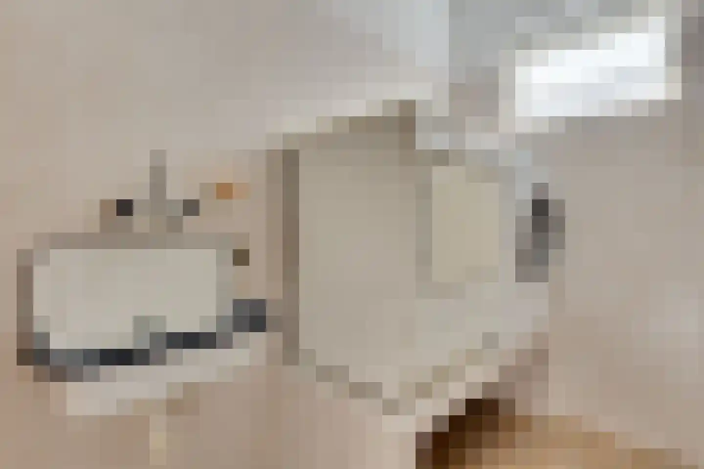 Bachstraat 7 Lichtenvoorde thumbnail 25