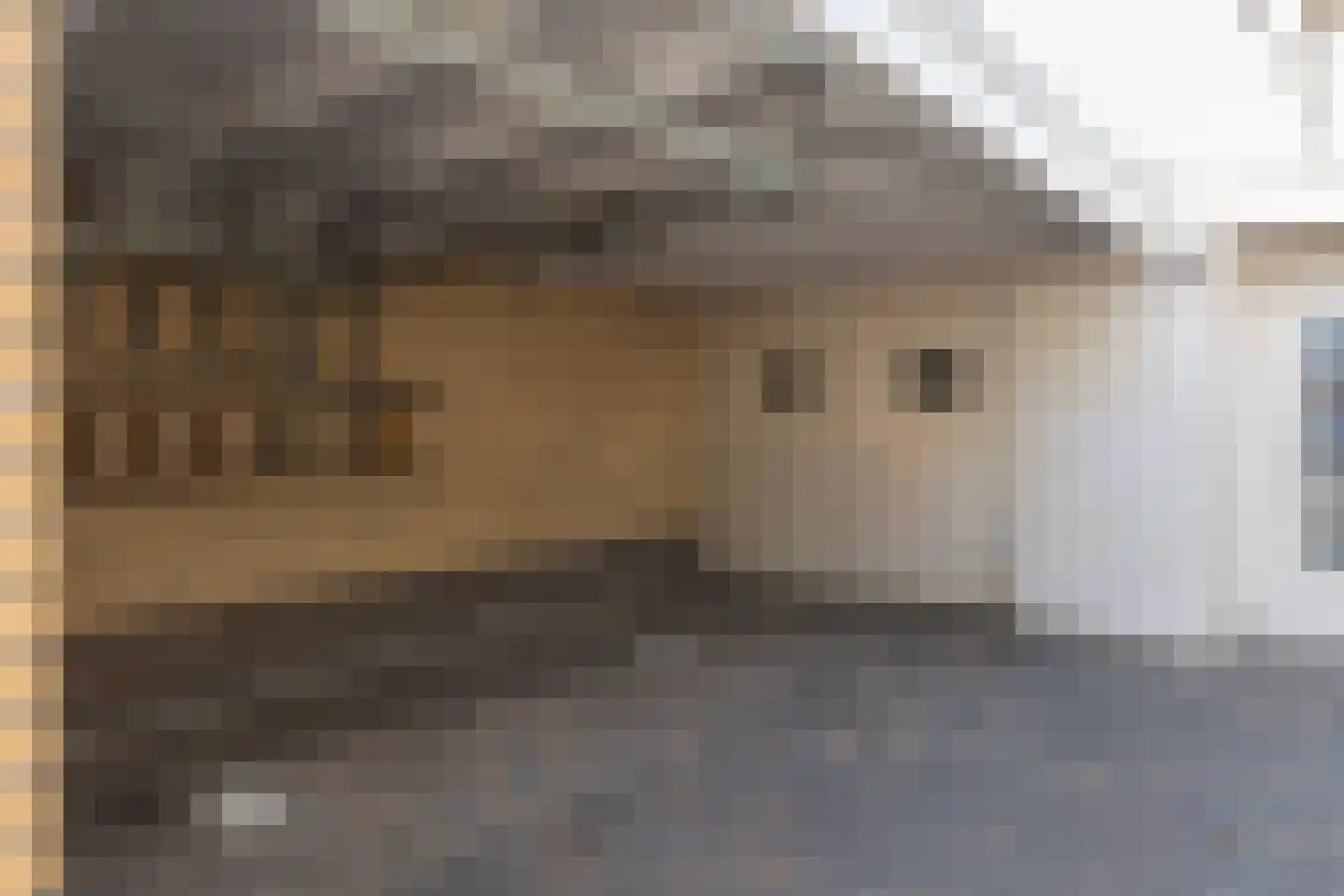 Bachstraat 7 Lichtenvoorde thumbnail 37