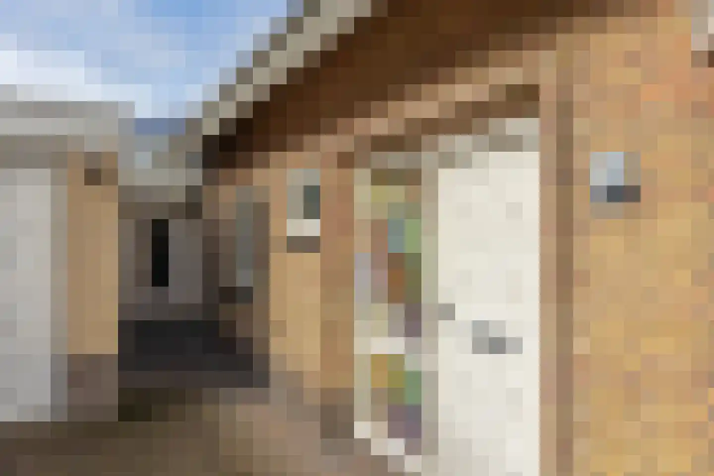 Bachstraat 7 Lichtenvoorde thumbnail 46