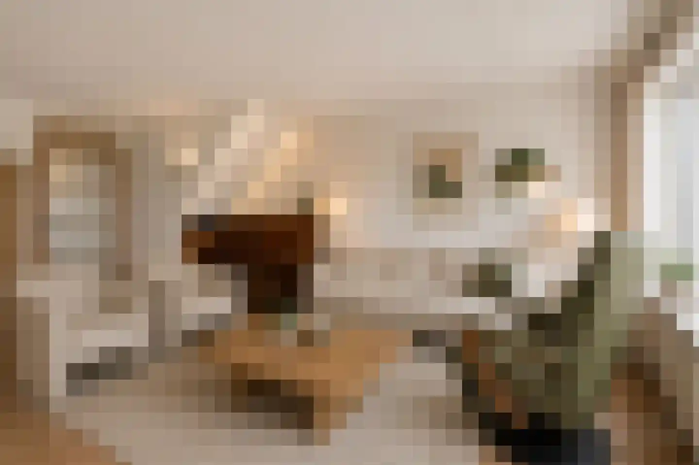 Bachstraat 73 Capelle aan den IJssel thumbnail 12