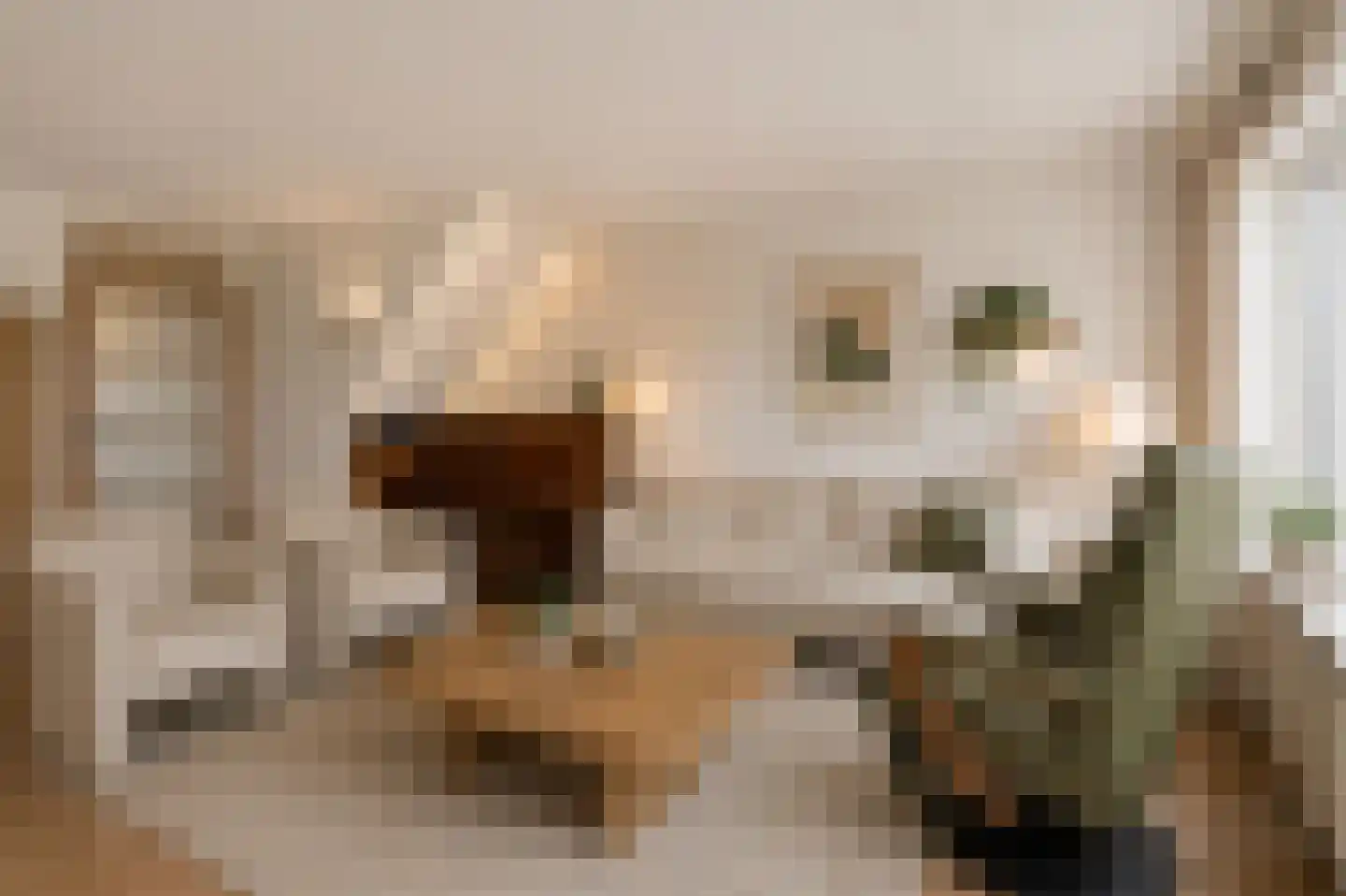 Bachstraat 73 Capelle aan den IJssel thumbnail 12