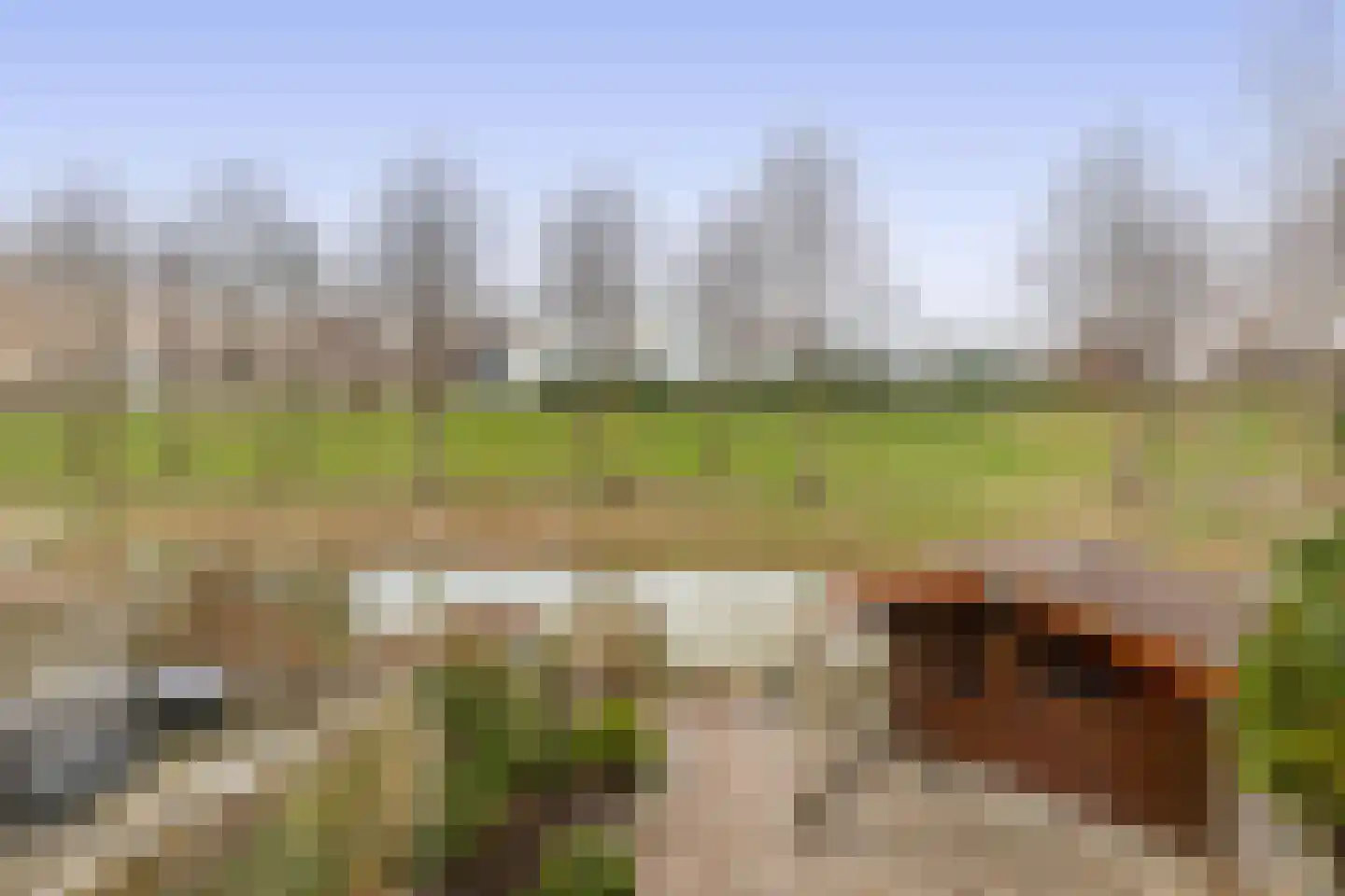 Bachstraat 73 Capelle aan den IJssel thumbnail 33
