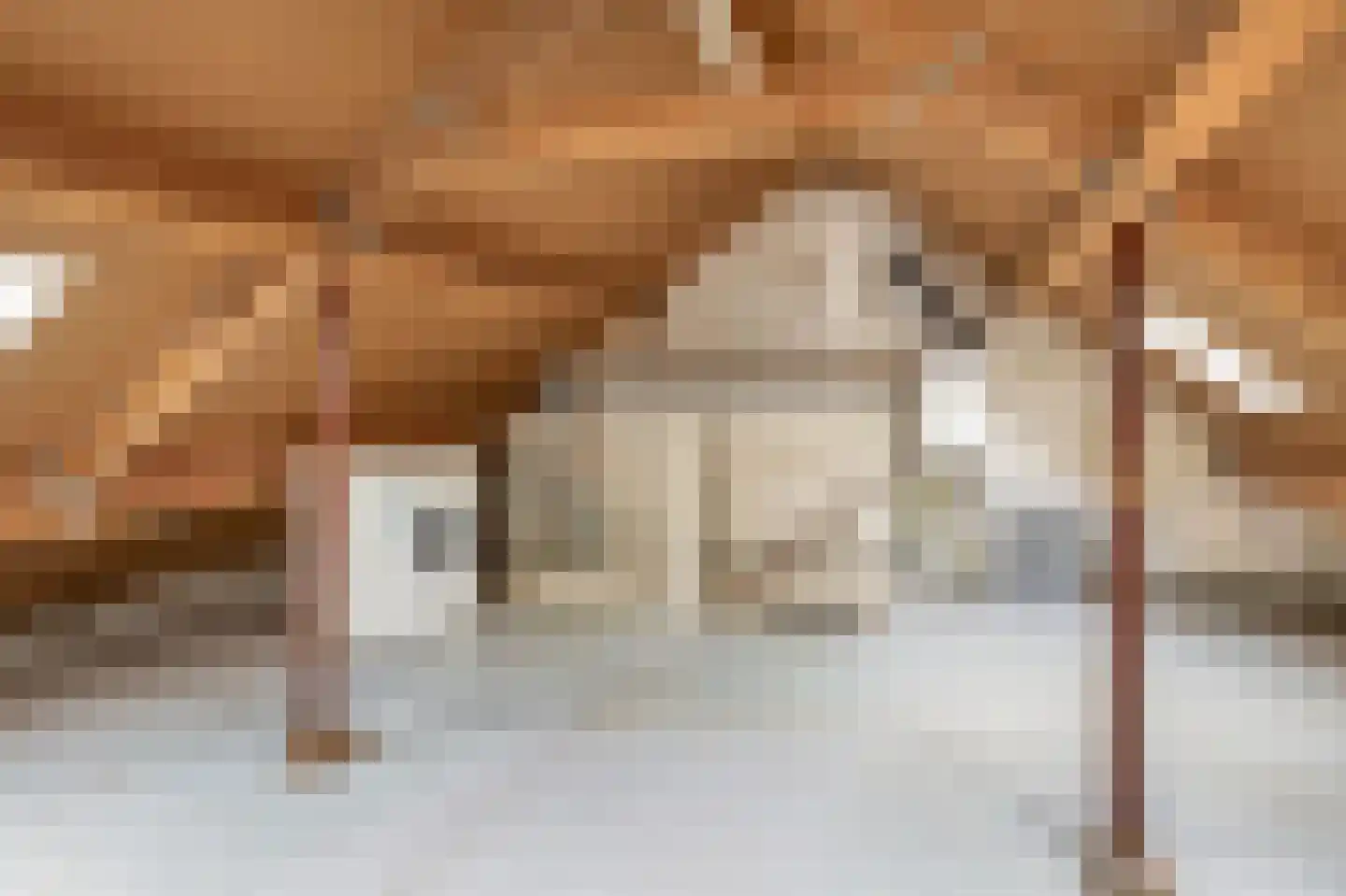 Bachstraat 73 Capelle aan den IJssel thumbnail 35