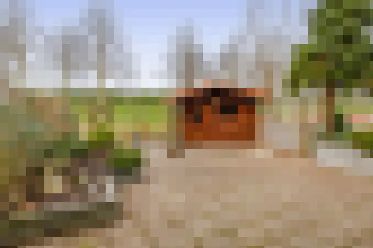 Bachstraat 73 Capelle aan den IJssel thumbnail 36