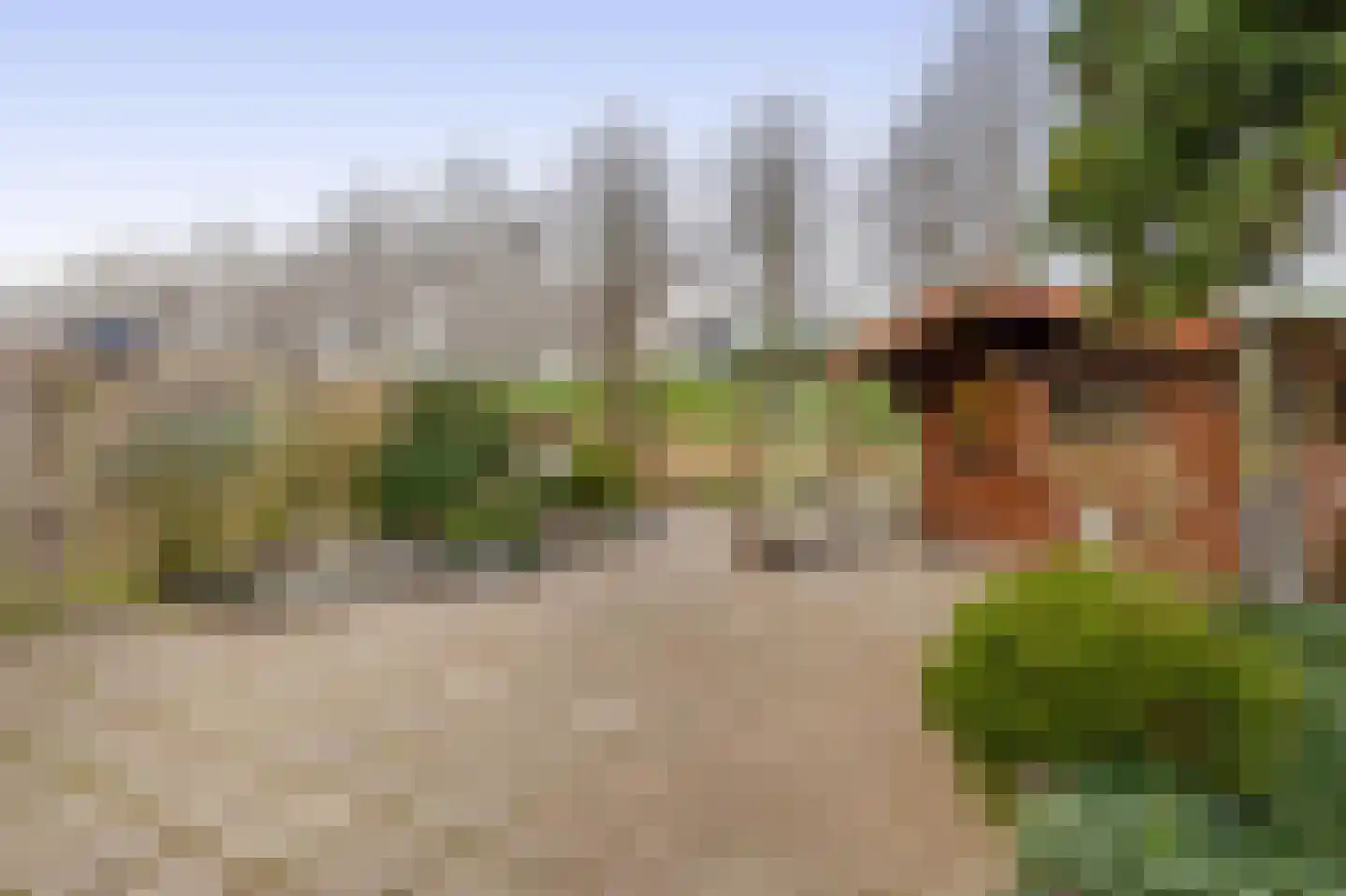 Bachstraat 73 Capelle aan den IJssel thumbnail 37