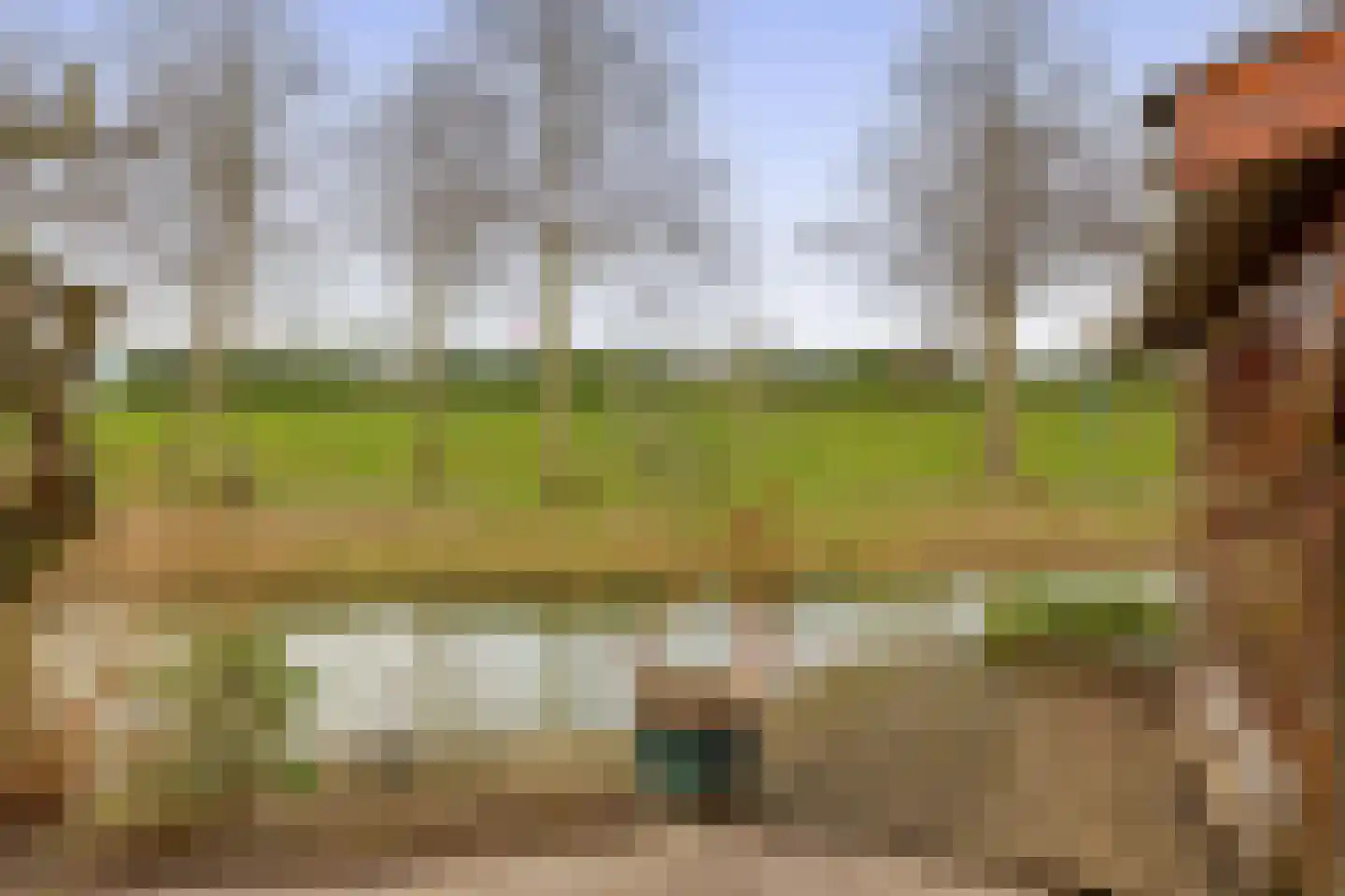 Bachstraat 73 Capelle aan den IJssel thumbnail 40