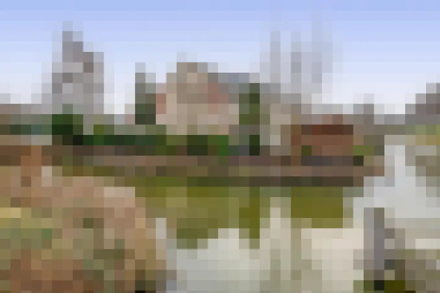 Bachstraat 73 Capelle aan den IJssel thumbnail 49