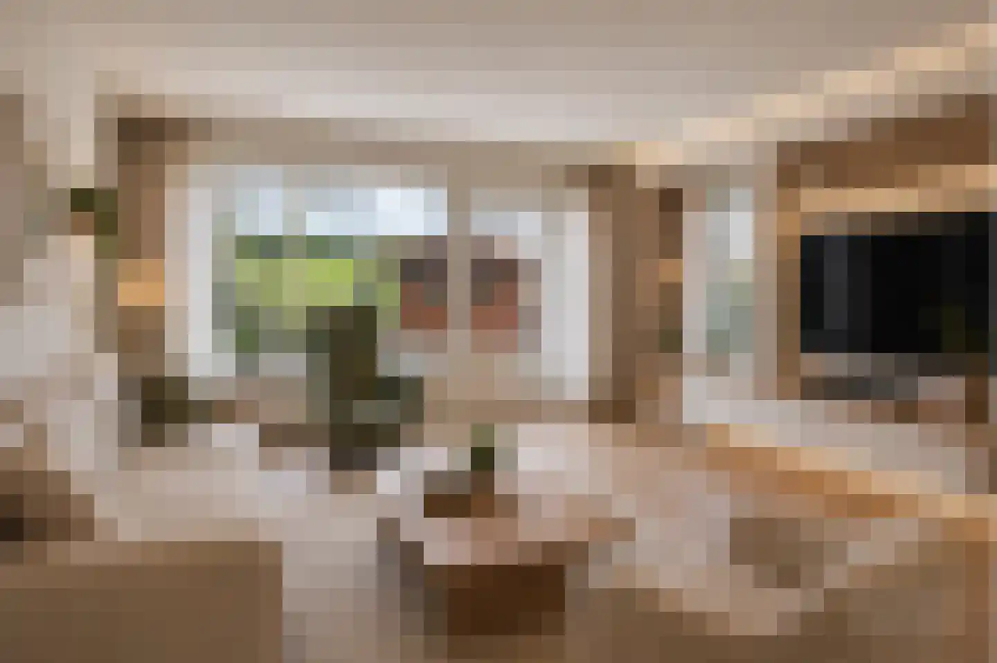Bachstraat 73 Capelle aan den IJssel thumbnail 9