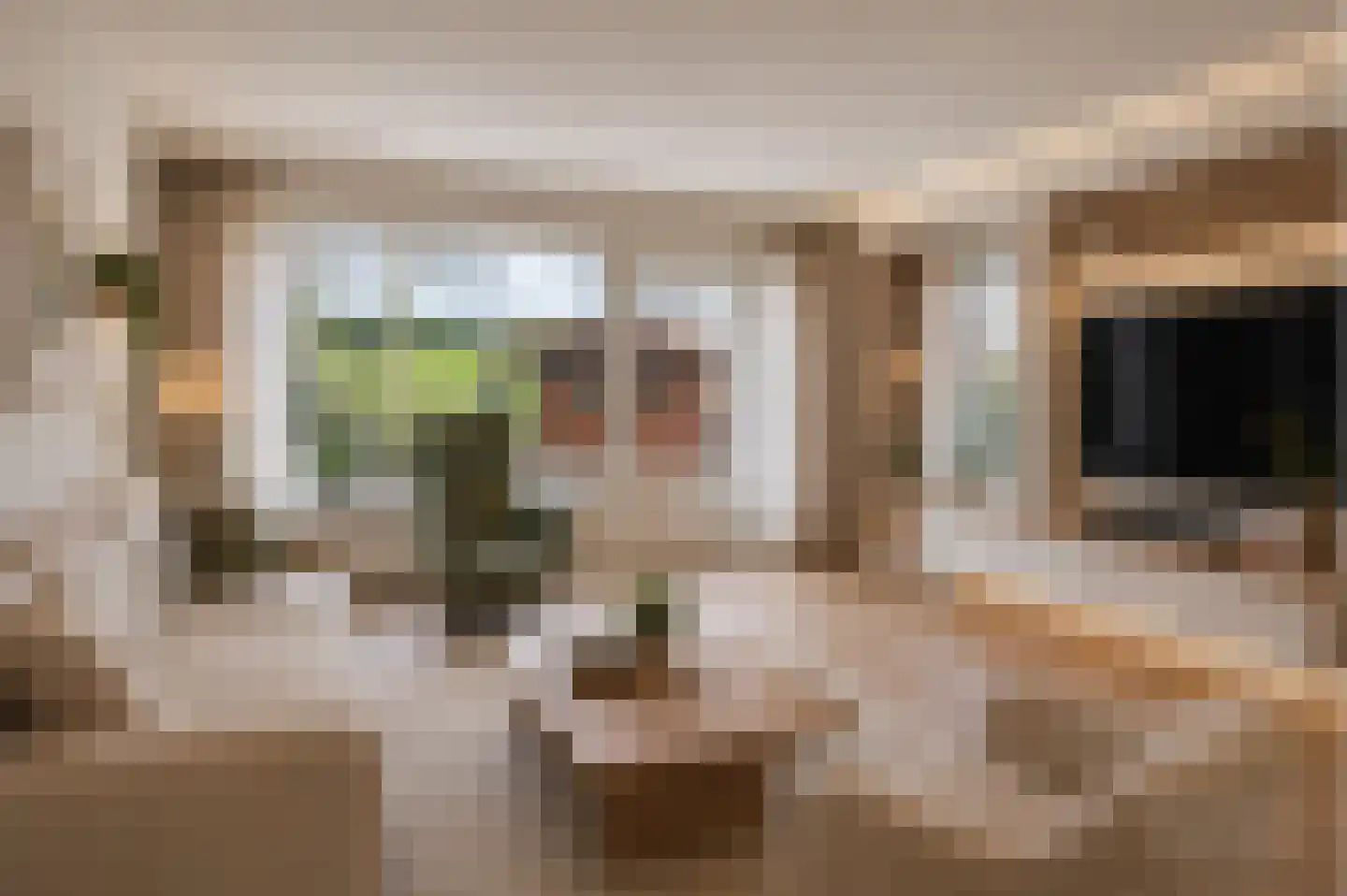 Bachstraat 73 Capelle aan den IJssel thumbnail 9